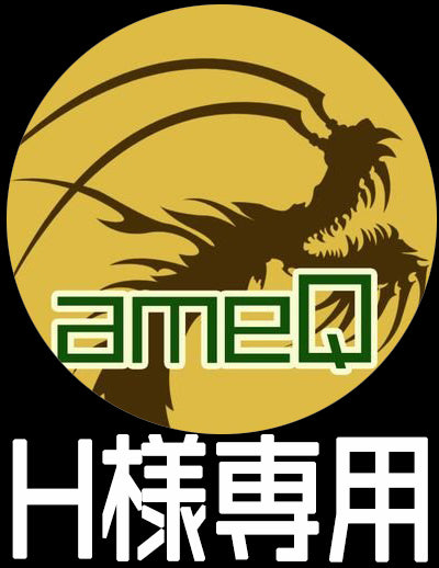 ★H様専用★