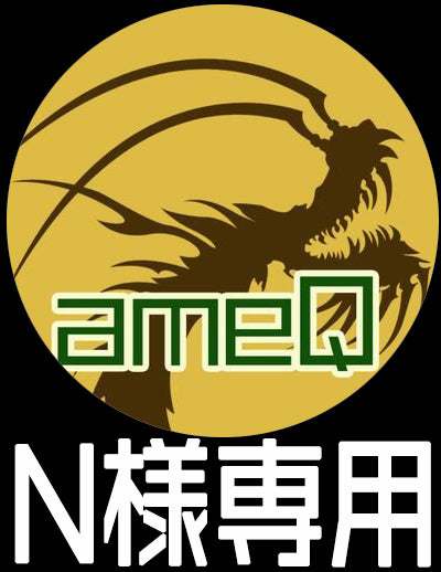 【N様専用】